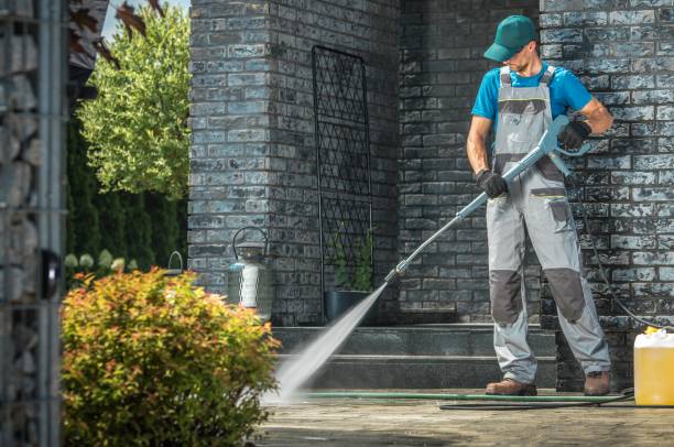 Best Roof Washing  in Pingree Grove, IL